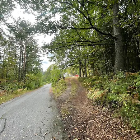 Hébergement de vacances Romselig Enebolig I Rolige Omgivelser Risør